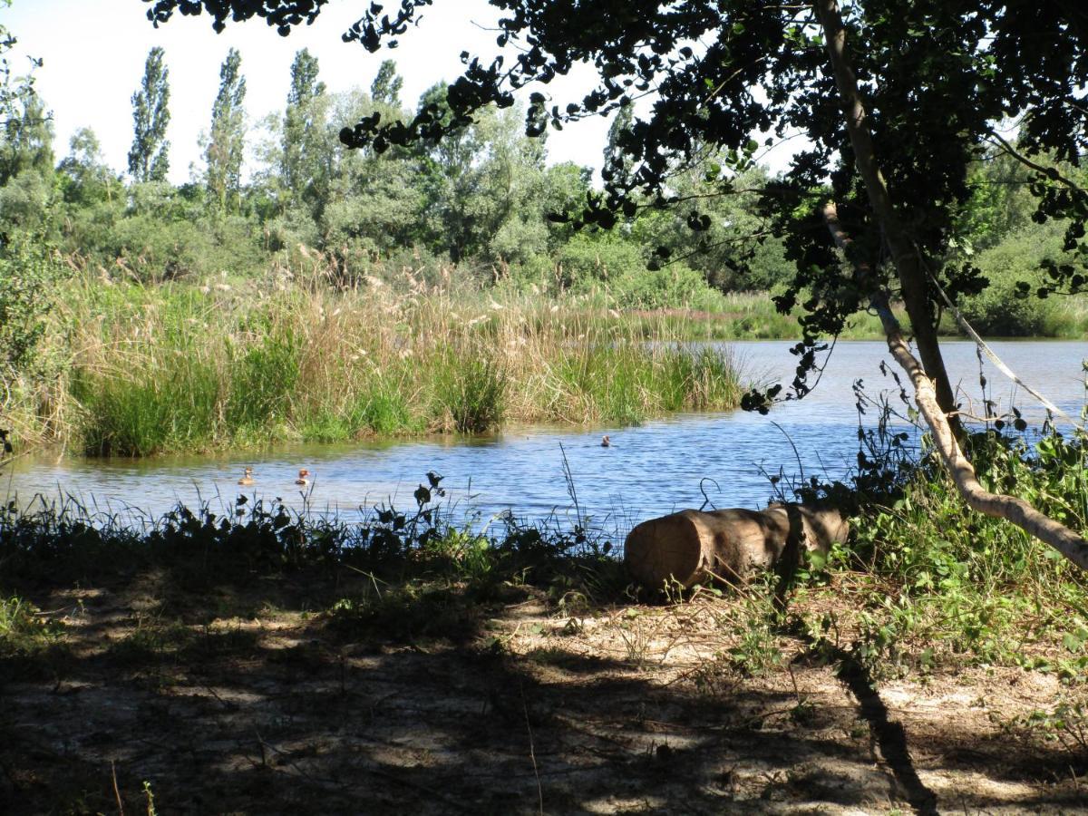 Espace Nature Studio Independant Proche Du Parc Des Oiseaux Sainte-Olive Luaran gambar