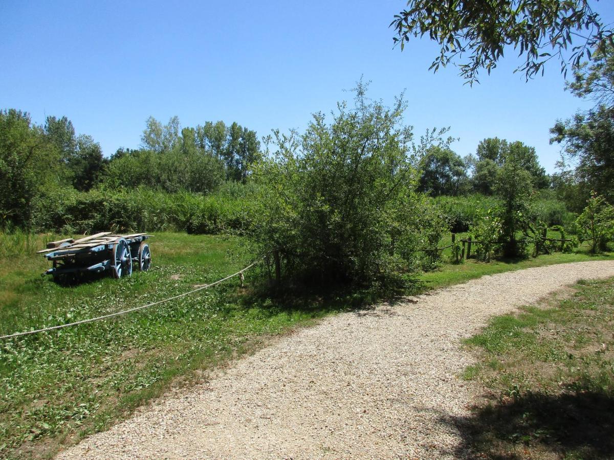 Espace Nature Studio Independant Proche Du Parc Des Oiseaux Sainte-Olive Luaran gambar