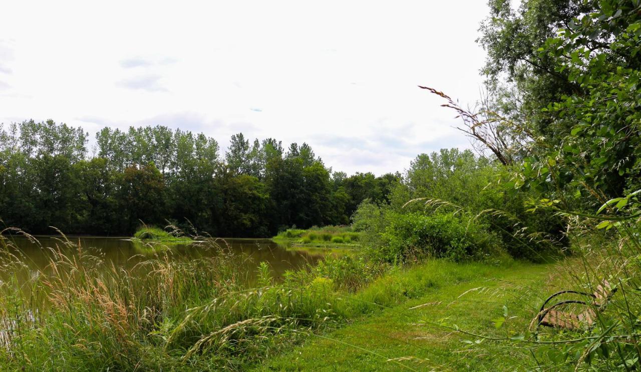 Espace Nature Studio Independant Proche Du Parc Des Oiseaux Sainte-Olive Luaran gambar
